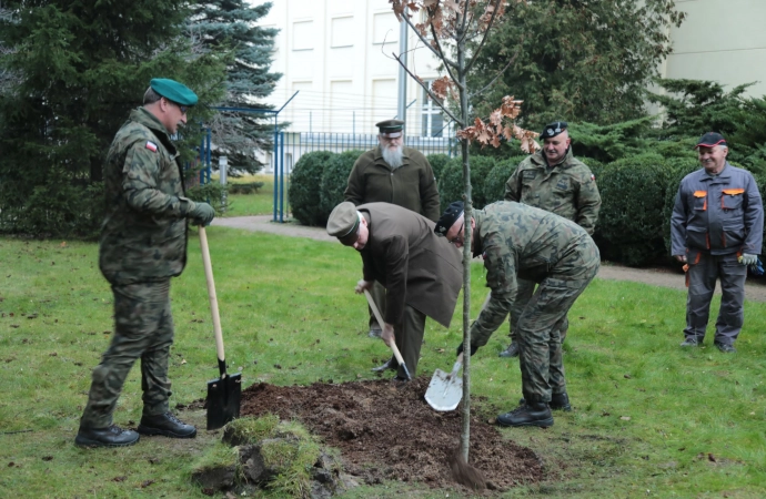 Generalskie dęby z Bartoszyc