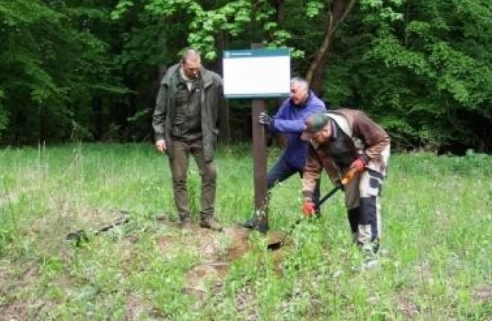 {Pod topór pójdzie 21 ha lasu. Zostały prawomocnie uznane za przeszkodę lotniczą.}